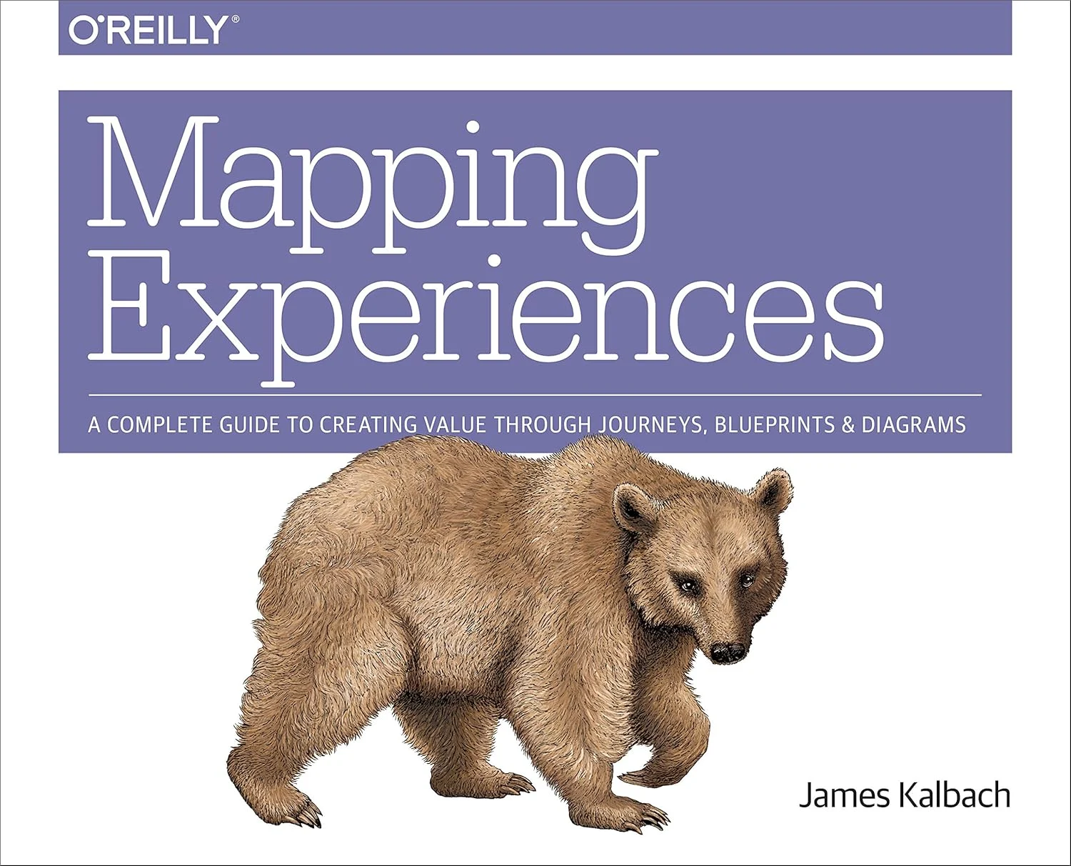Mapping Experiences cover